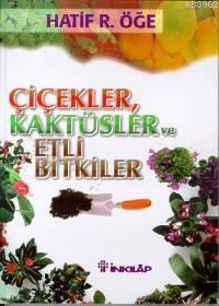 Çiçekler Kaktüsler ve Etli Bitkiler