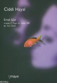 Ciddi Hayal
