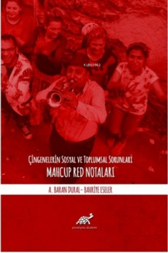 Çingenelerin Sosyal ve Toplumsal Sorunları