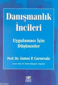 Danışmanlık İncileri; Uygulamacı İçin Düşünceler