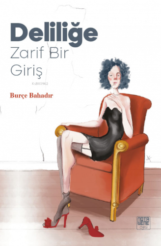 Deliliğe Zarif Bir Giriş