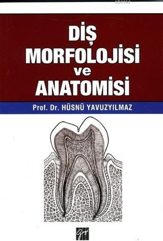 Diş Morfolojisi ve Anatomisi