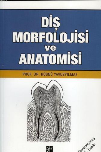 Diş Morfolojisi ve Anatomisi