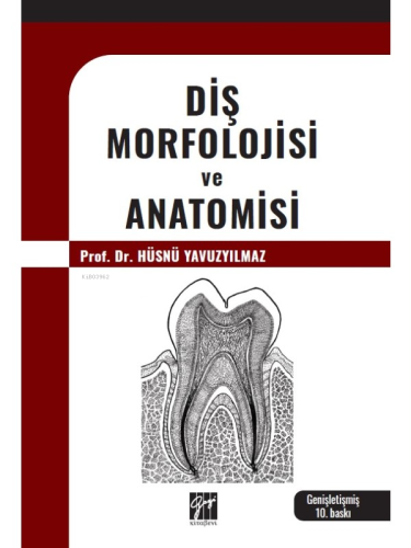 Diş Morfolojisi Ve Anatomisi