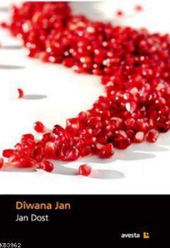 Diwana Jan (1987 - 1995)