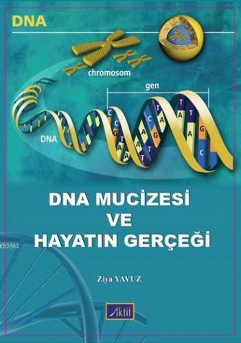 Dna Mucizesi ve Hayatın Gerçeği