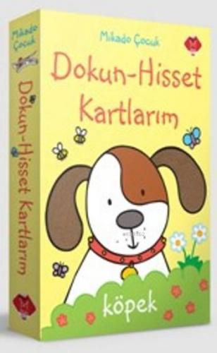 Dokun Hisset Kartlarım; Flash Kart