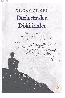 Düşlerimden Dökülenler