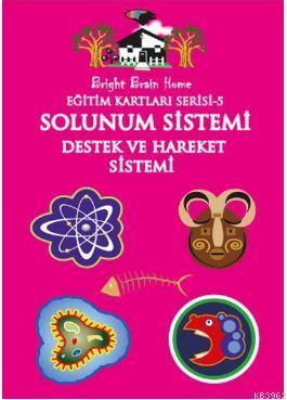 Eğitim Kartları Serisi 5 Solunum Sistemi Destek ve Hareket Sistemi