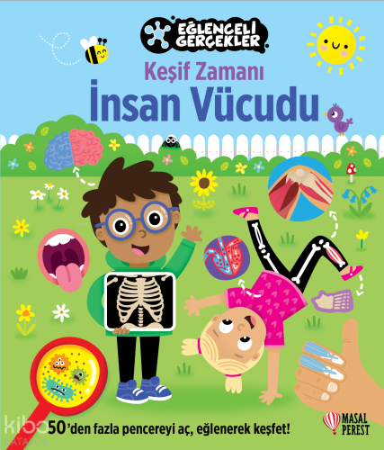 Eğlenceli Gerçekler - İnsan Vücudu