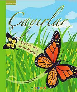 Ekosistem 2. Kitap: Çayırlar; Yeşil ve Altın Sarısı  Alanlar