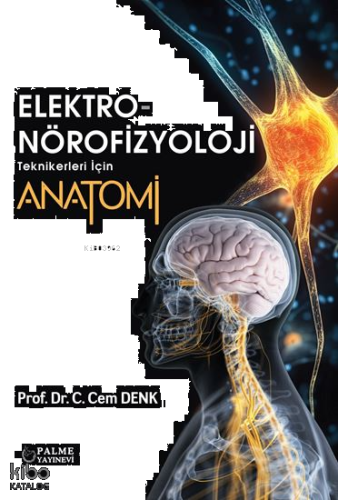 Elektro-Nörofizyoloji Teknikerleri İçin Anatomi