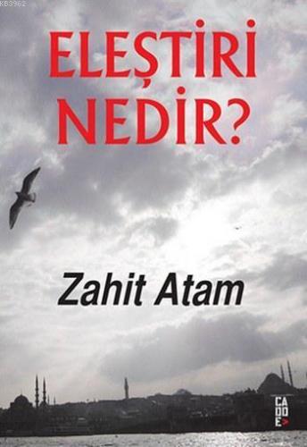 Eleştiri Nedir?