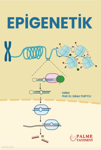 Epigenetik