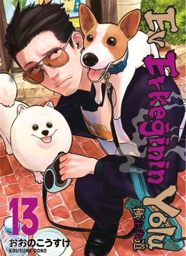 Ev Erkeğinin Yolu 13. Cilt