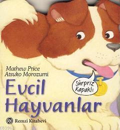Evcil Hayvanlar