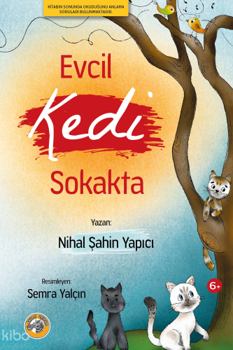 Evcil Kedi Sokakta