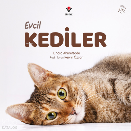 Evcil Kediler