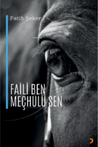 Faili Ben Meçhulü Sen