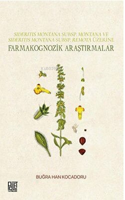 Farmakognozik Araştırmalar - Sideritis Montana Subsp.Montana ve Sideritis Montana Subsp.Remota Üzeri