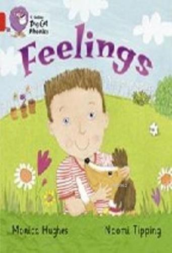 Feelings (Big Cat Phonics-2B Red)