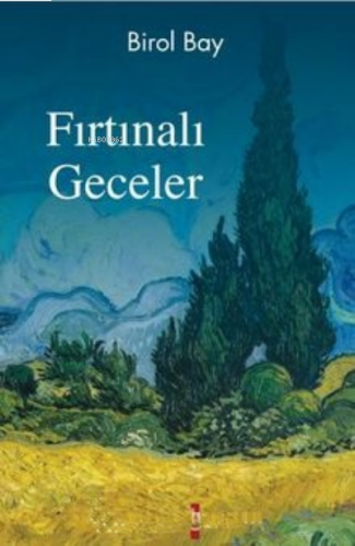 Fırtınalı Geceler