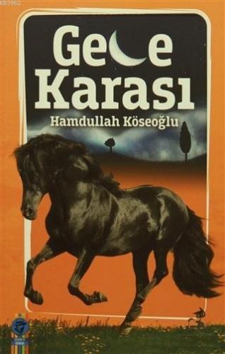 Gece Karası