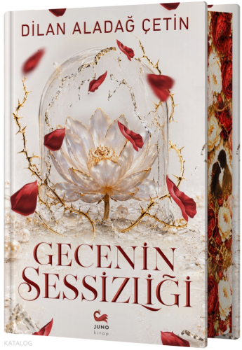 Gecenin Sessizliği (Ciltli)