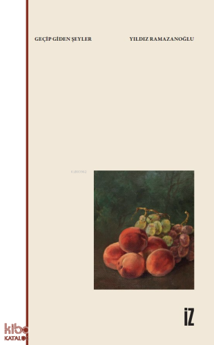 Geçip Giden Şeyler