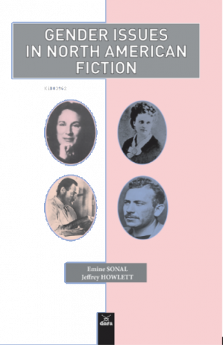 Gender Issues In North American Fiction