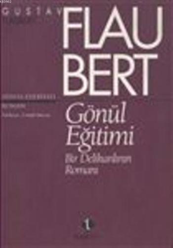 Gönül Eğitimi; Bir Delikanlının Romanı