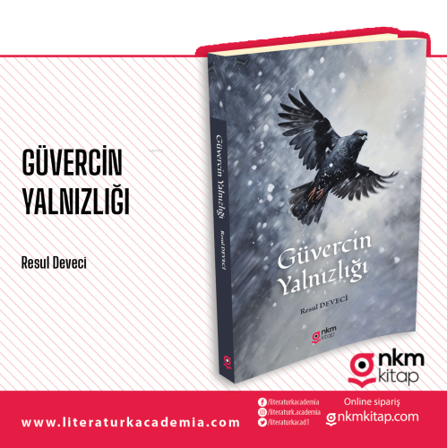 Güvercin Yalnızlığı