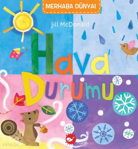 Hava Durumu;Merhaba Dünya Serisi