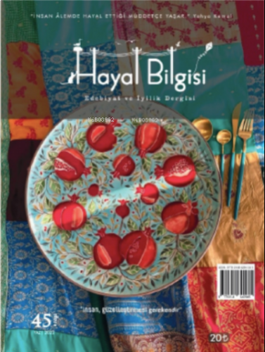 Hayal Bilgisi Dergisi - Sayı: 45