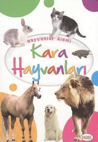 Hayvanlar Alemi; Kara Hayvanları
