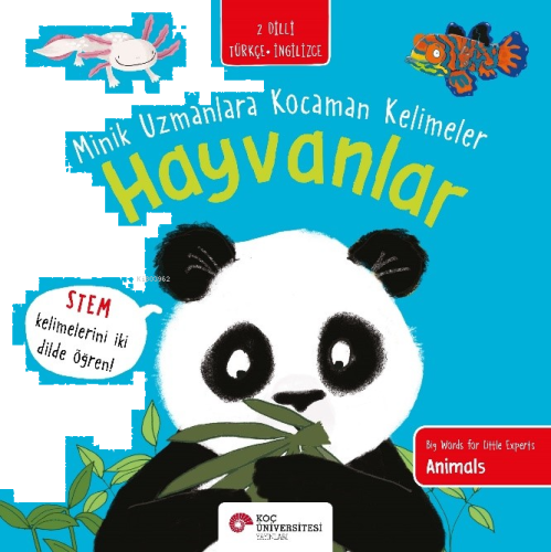 Hayvanlar  / Minik Uzmanlara Kocaman Kelimeler