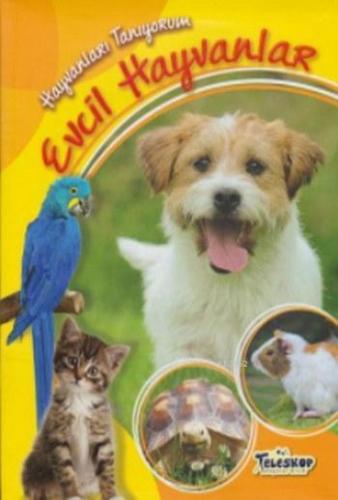 Hayvanları Tanıyorum Evcil Hayvanlar