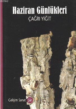 Haziran Günlükleri
