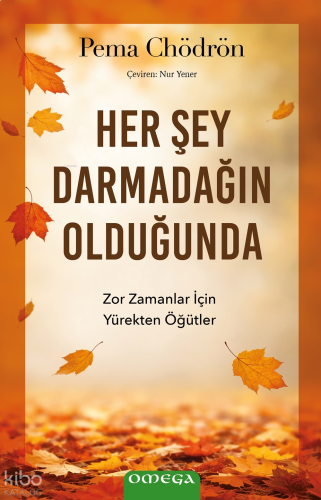 Her Şey Darmadağın Olduğunda;Zor Zamanlar İçin Yürekten Öğütler