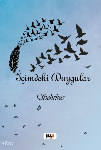İçimdeki Duygular