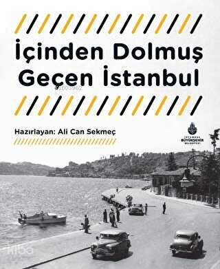İçinden Dolmuş Geçen İstanbul