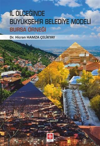 İl Ölçeğinde Büyükşehir Belediye Modeli; Bursa Örneği