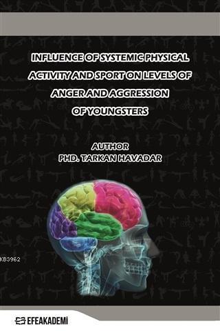 Influence Of Systemic Physical Activity and Sport On Levels Of Anger and Aggression Of; Youngsters Who Have Aggression Inclination