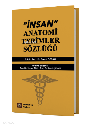 İnsan Anatomi Terimler Sözlüğü
