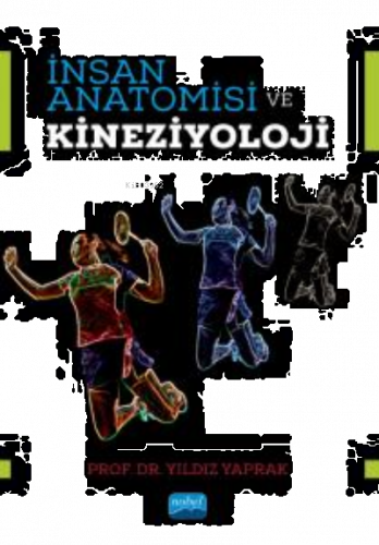 İnsan Anatomisi ve Kineziyoloji