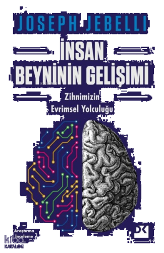 İnsan Beyninin Gelişimi
