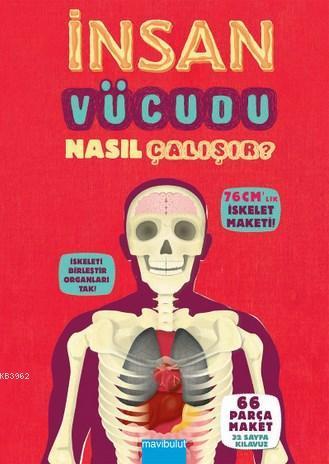 İnsan Vücudu Nasıl Çalışır? (Ciltli); 66 parçalık maket/32 Sayfa Klavuz