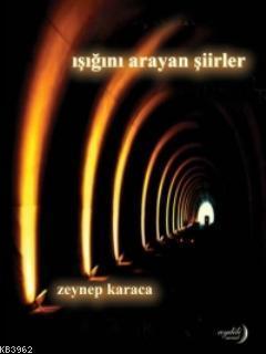 Işığını Arayan Şiirler
