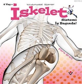 İskelet Sistemi İş Başında! - Vücudumuzdaki Sistemler
