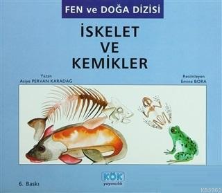 İskelet ve Kemikler